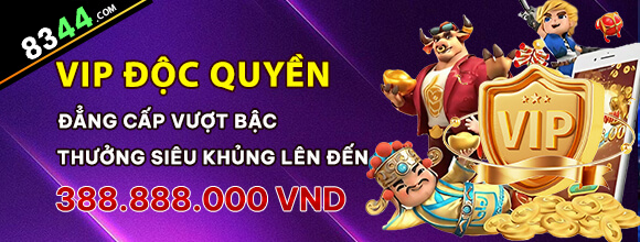 Hình ảnh quảng cáo của okking hiển thị nền tảng và các lợi ích