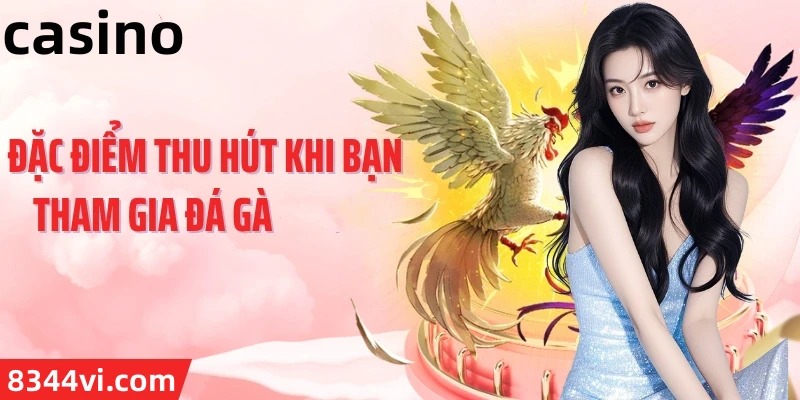 Hình ảnh quảng cáo của okking hiển thị nền tảng và các lợi ích