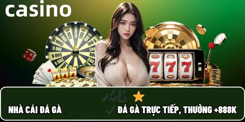 Hình ảnh quảng cáo của okking hiển thị nền tảng và các lợi ích