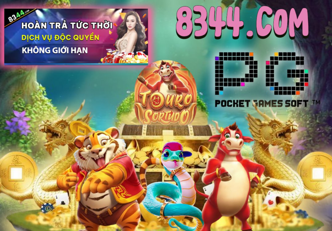 Hình ảnh quảng cáo của okking hiển thị nền tảng và các lợi ích