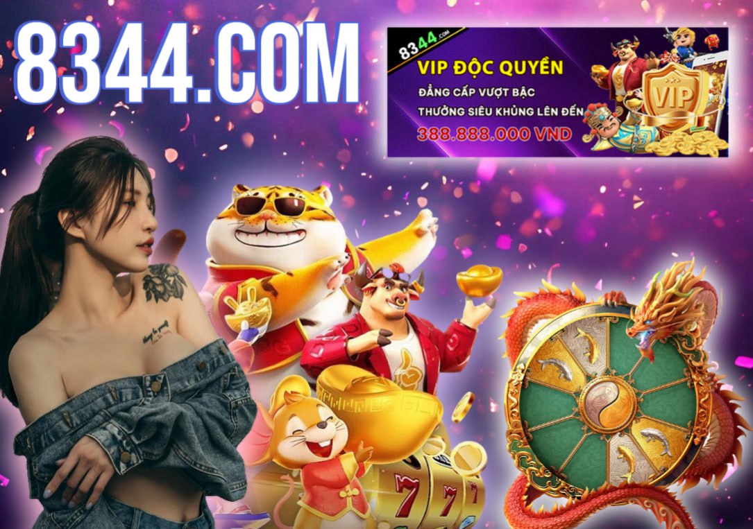 Hình ảnh quảng cáo của okking hiển thị nền tảng và các lợi ích