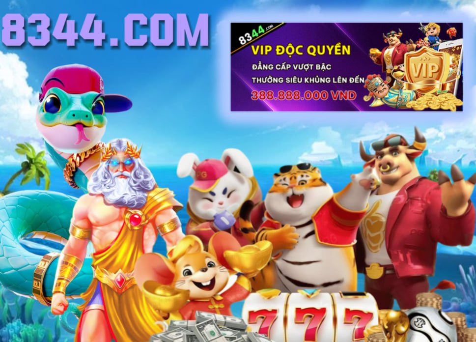 Hình ảnh quảng cáo của okking hiển thị nền tảng và các lợi ích
