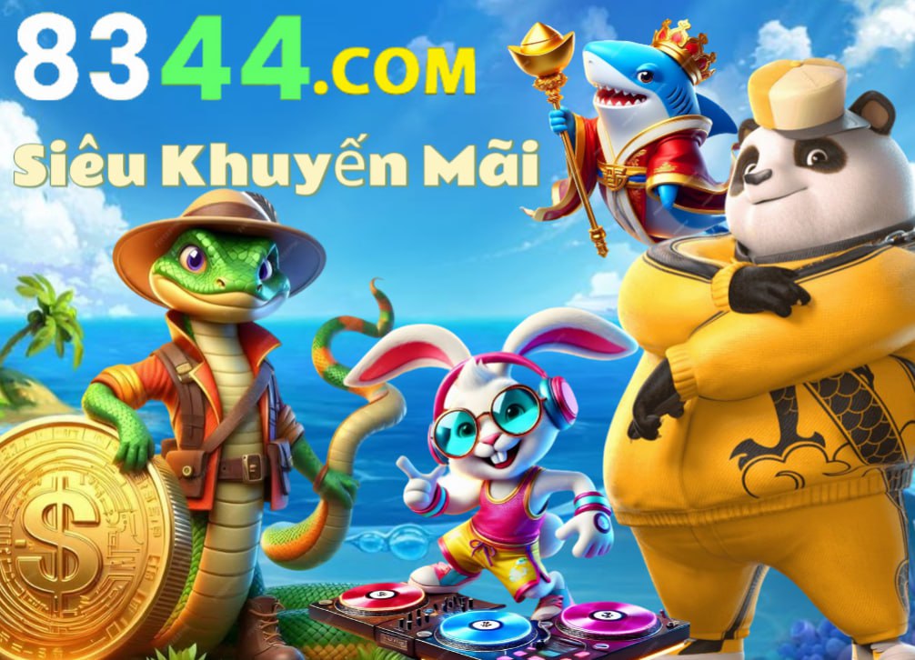 Hình ảnh quảng cáo của okking hiển thị nền tảng và các lợi ích