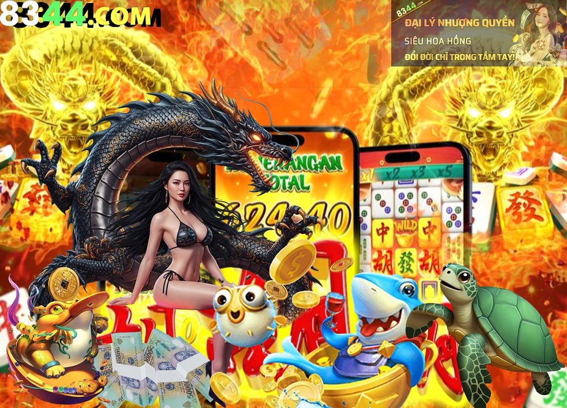 Hình ảnh quảng cáo của okking hiển thị nền tảng và các lợi ích