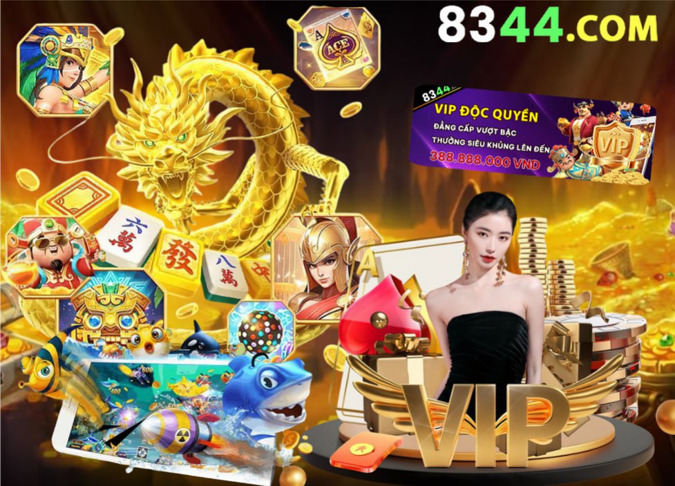 Hình ảnh quảng cáo của okking hiển thị nền tảng và các lợi ích