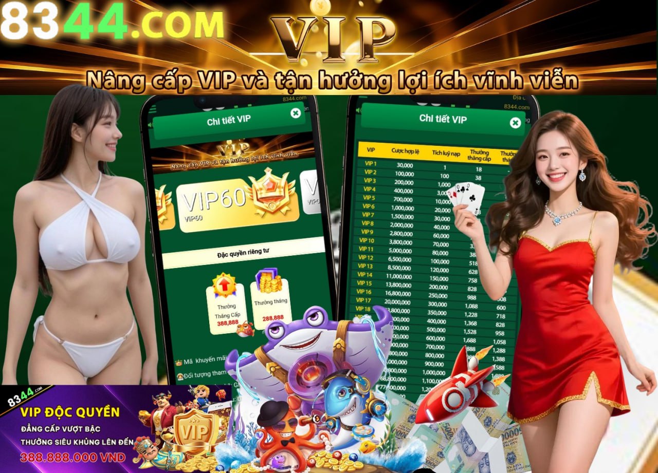 Hình ảnh quảng cáo của okking hiển thị nền tảng và các lợi ích